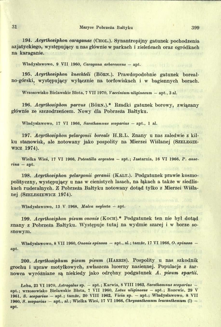 31 M szyce Pobrzeża Bałtyku 399 1 9 4. Acyrthosiphon caraganae ( C h o l.).