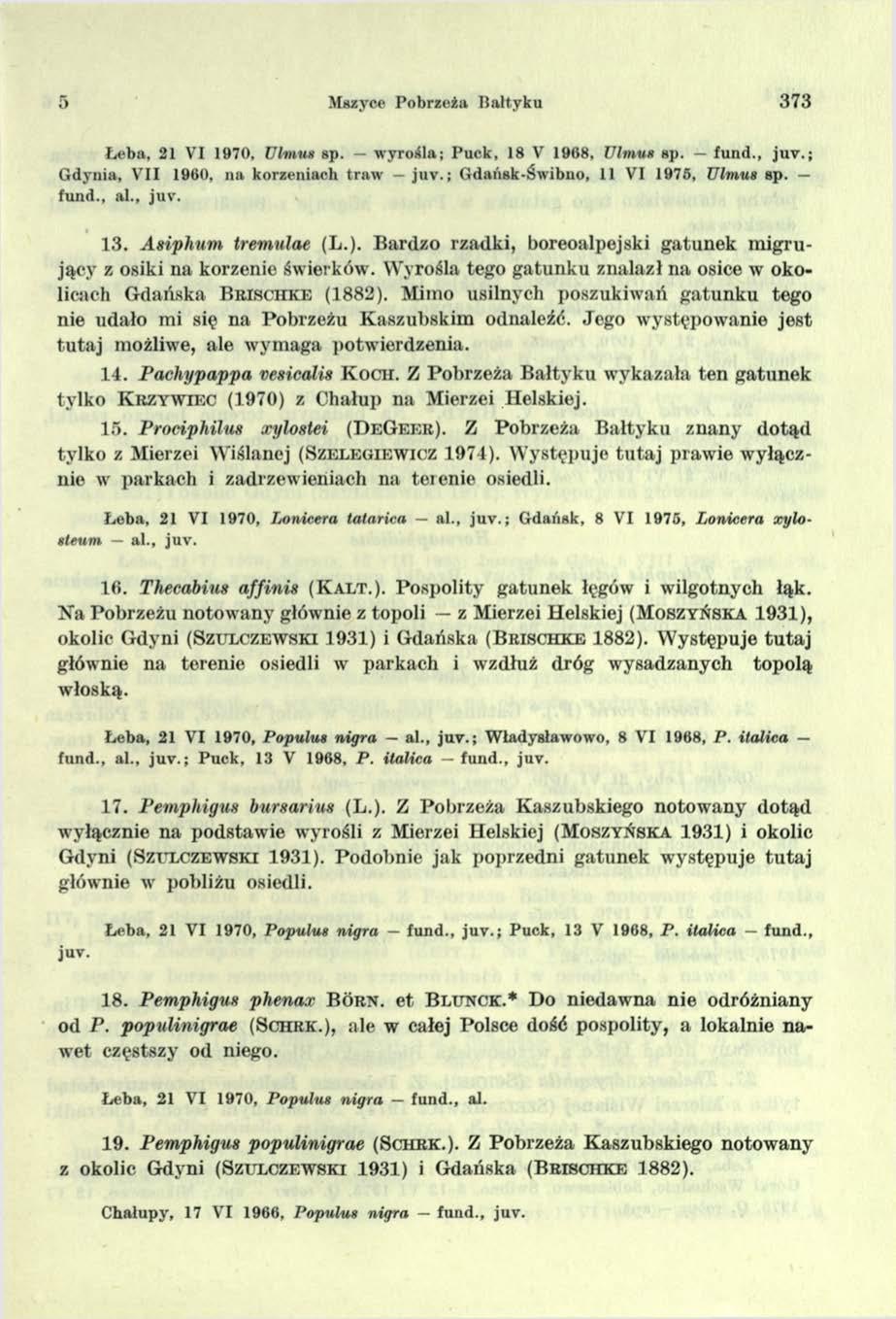 5 Mszyce Pobrzeża Bałtyku 373 Łeba, 21 VI 1970, Ulmus sp. w yroiła; Puck, 18 V 1968, Ulmus sp. fund., ju v.; Gdynia, VII 1960, na korzeniach traw juv.; Gdańsk-Świbno, 11 VI 1975, Ulmus sp. fund., al.