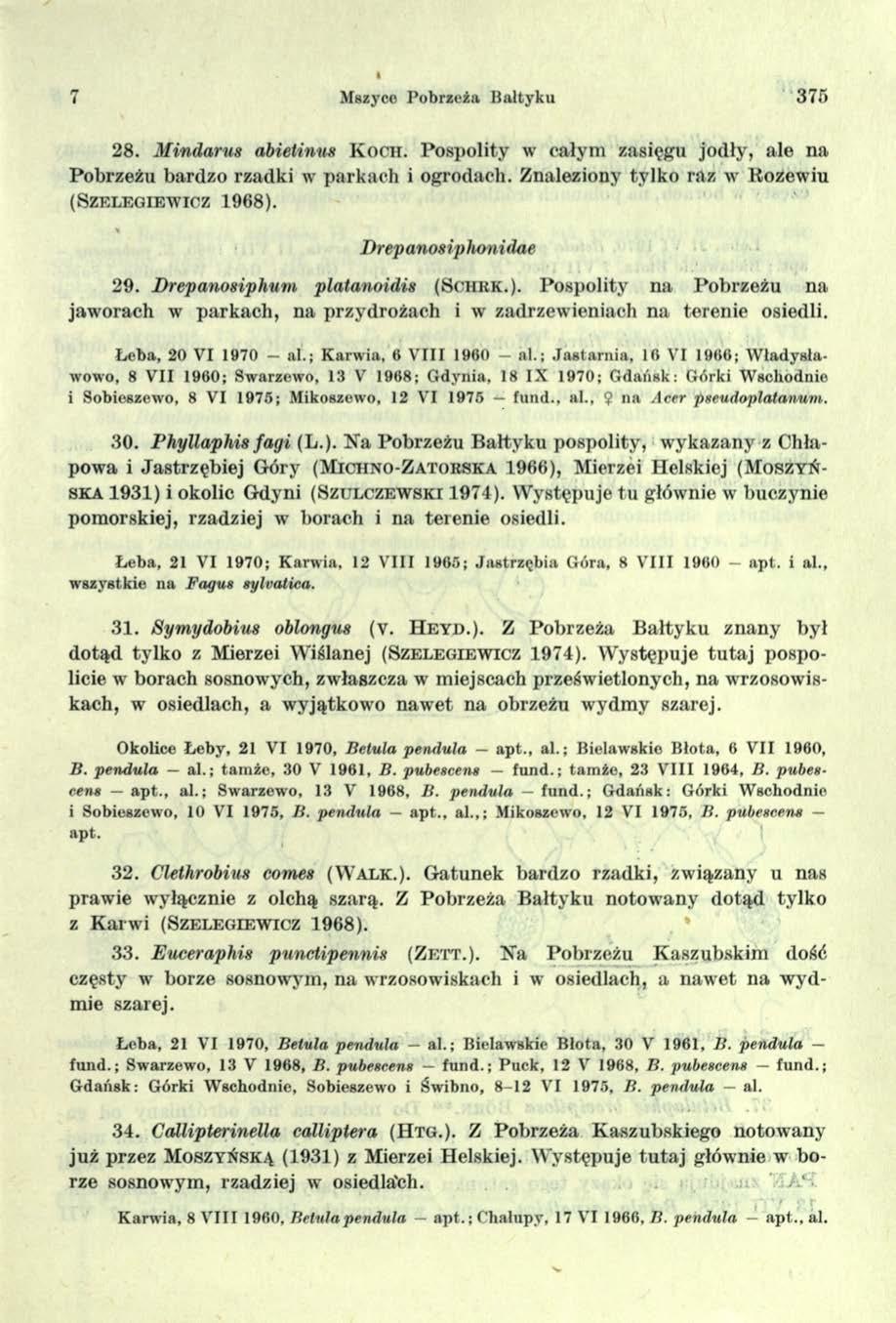 Mszyce Pobrzeżu Bałtyku 375 28. Mindarus abietinus K o c h. Pospolity w całym zasięgu jodły, ale na Pobrzeżu bardzo rzadki w parkach i ogrodach.