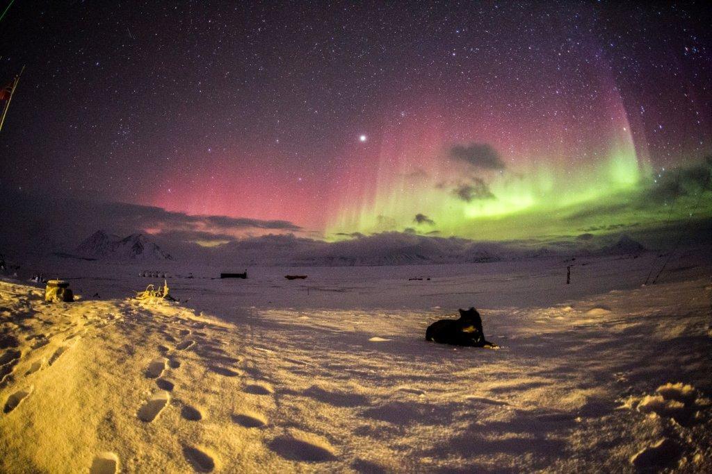 FOTOGRAFIE: Fot. 1. Zorza polarna 17.02.