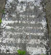 Monografia rzymskokatolickiej parafii św. Mikołaja w Grabowcu, tom II 85 Felczyńskiego dwóch dzwonów. Dzwony otrzymały imiona Józef i Maryja 460.
