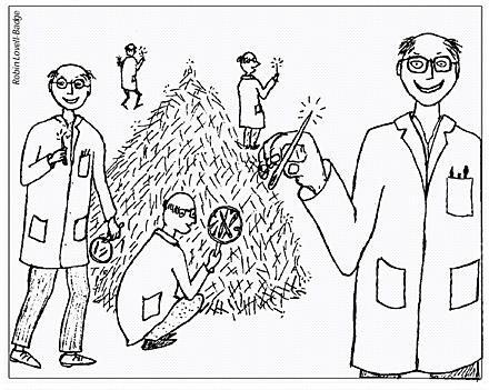 The Search for Obesity Susceptibility Genes I found one! I found one! Kenneth M.