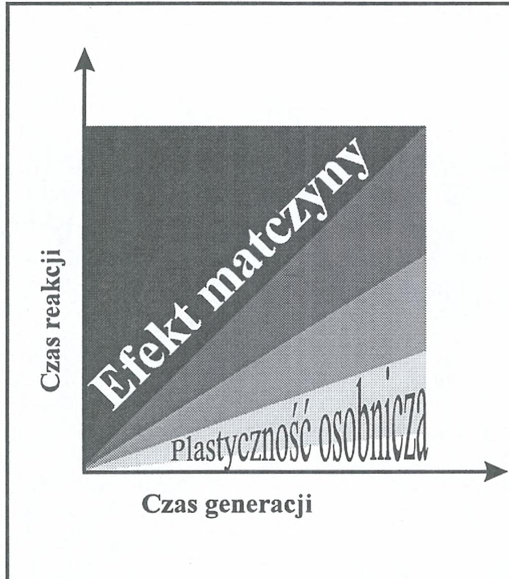 Istnienie kierunkowego efektu matczynego oraz ukierunkowanych, indukowanych czynnikami środowiskowymi zmian historii życia matki powoduje jednak, że efekt matczyny może generować zmienność osobników