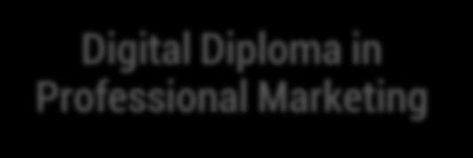 Układ programu Digital Diploma in Professional Marketing Sesje zajęciowe 8 spotkań 12-godzinnych 3 bloki tematyczne Program EPP praca nad egzaminami CIM pod opieką Tutora
