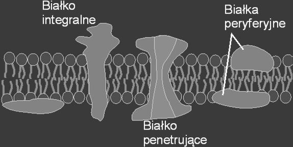 detailed diagram en.