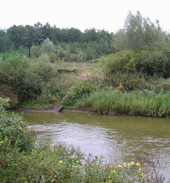 (źródło: [14]) Lp. Wskaźnik jakości wód Jednostka Poziom rekomendowany Wisznia - Gaje km 8,2 Szkło - Budzyń 1. BZT 5 mgo 2/l 3 2,2 3,0 2. Tlen rozpuszczony mgo 2/l 6,0 8,7 9,2 km 32,5 3.