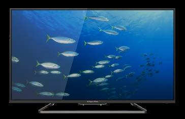 399900 TELEWIZOR KRÜGER&MATZ 65 A-65SUHD10 3840x2160 px Jasność: 370 cd/m² Kontrast: 3000:1 Czas reakcji: 9 ms Liczba wyświetlanych kolorów: 1,07 mld HDR 10 Tuner cyfrowy DTV: DVB-S2/S/T2/T/C