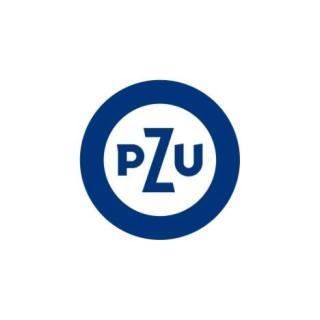 OGÓLNE WARUNKI UBEZPIECZENIA PZU DOM stosowane do umów ubezpieczenia zawieranych z zastosowaniem przepisów o świadczeniu usług drogą elektroniczną ustalone uchwałą nr UZ/232/2012 Zarządu PZU SA z