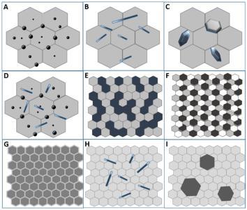 Wielkość cząstek od nanometrów do ułamka mikrometra; Wtrącenia nie muszą być sztywniejsze i twardsze niż osnowa; Cząstki mogą mieć zróżnicowane kształty,