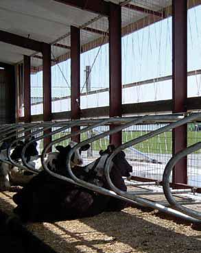 Tel.: +48 (61) 442 85 18 Faks: +48 (61-442 86 87 Kurtyny Arntjen 1. Curtain 2. Bramy-Rolety Klimat panujący w nowoczesnej oborze z boksami legowiskowymi musi w 100% spełniać wymagania krowy mlecznej.