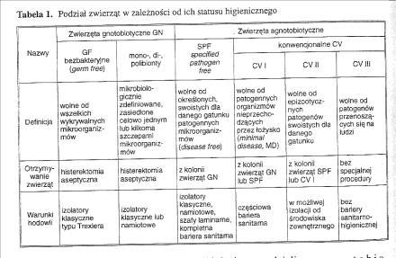 Anatomia i fizjologia zwierząt gnotobiotycznych Brak mikroflory powoduje niedorozwój układu chłonnego, gdyż nie ma stymulacji antygenowej, brak bodźców do stymulacji komórek immunokompetentnych