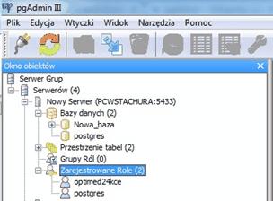 Rysunek 9. Zarejestrow ane role. Do utworzonej roli należy nadać uprawnienia.