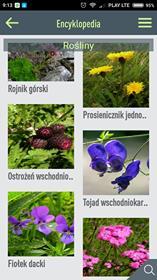 Biosfery Karpaty Wschodnie lepiej