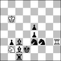 Sd6 Se6# 1 pochwała Żivko JANEVSKI (Macedonia) 2 pochwała Walerij KRIWIENKO & Walerij KOPYL (Ukraina) 3 pochwała Andreas SCHÖNHOLZER (Szwajcaria)