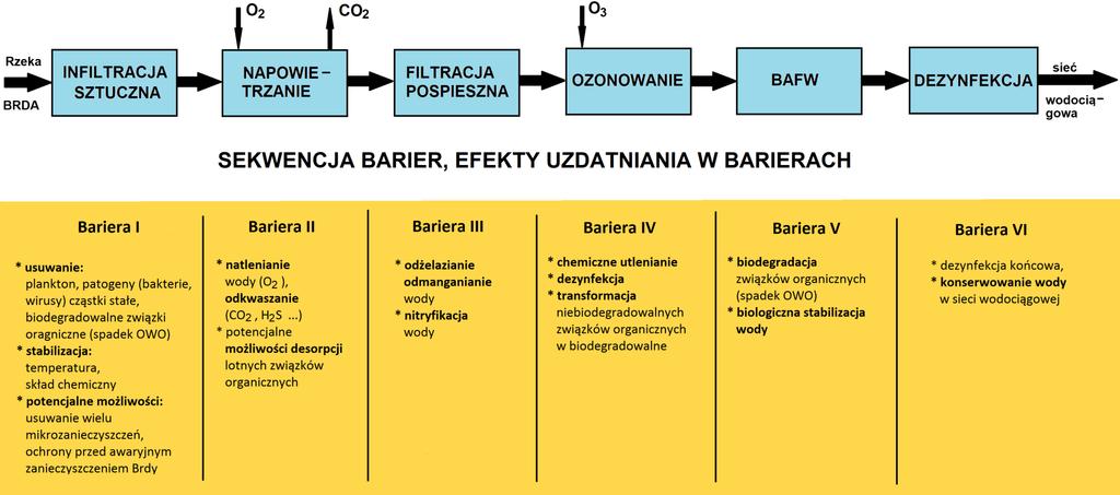 OCENA STRUKTURY I WŁAŚCIWOŚCI SYSTEMU ZUW CZYŻKÓWKO W ŚWIETLE KRYTERIÓW BEZPIECZEŃSTWA WODY
