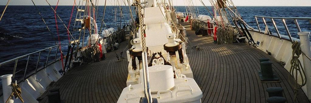 przedsięwzięć typu SAIL