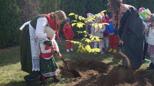 "Drzewo Pamięci" 26.09.2018r.