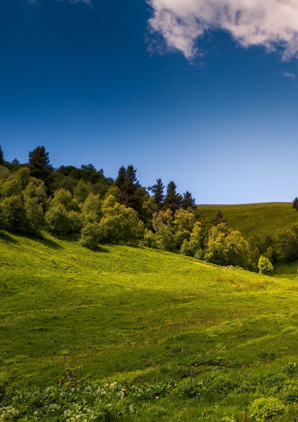Exclusive Green E Efektywność energetyczna w najlepszym wydaniu EXCLUSIVE GREEN E jest kotłem kondensacyjnym z najwyższej półki.