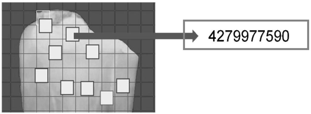 Uśrednianie informacji o barwie pikseli w obrębie jednego segmentu obrazu (rozmiar 32x32 piksele) (rys. 3). 2.