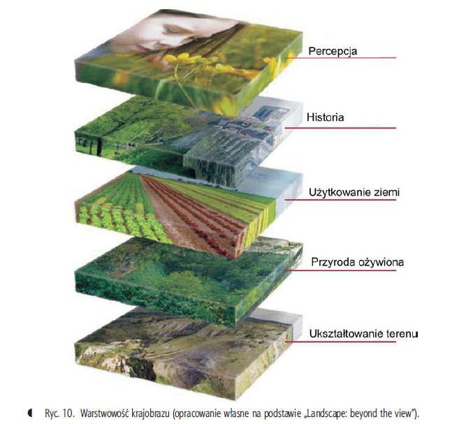 Poprzez procesy percepcji człowiek poznaje i wartościuje krajobraz (Wojciechowski, 1994).