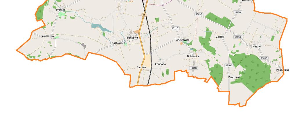 Funkcjonuje w niej szkoła podstawowa, do której uczęszczają również Biskupice dzieci z Kochłowic i Sarnowa. Rolnicy indywidualni gospodarują na łącznej powierzchni 172 ha.