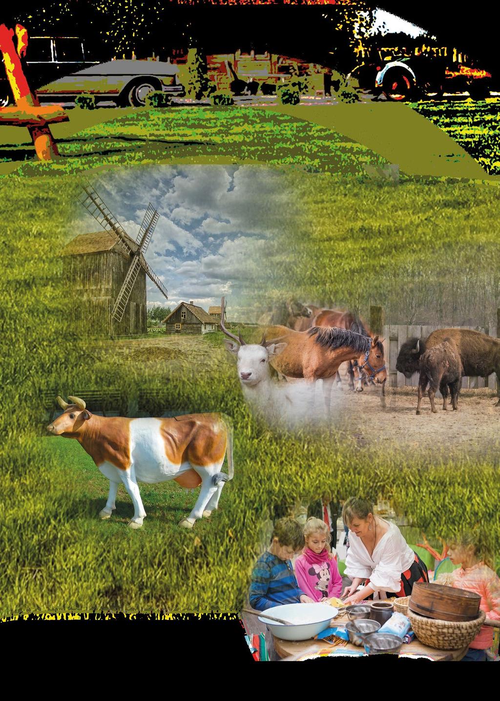 Przyjedź do nas i połącz zabawę z edukacją Wioska Farmera o tematyce Świat Mućki przeniesie dzieci w farmerski klimat oraz pozwoli wyszaleć się na całego!