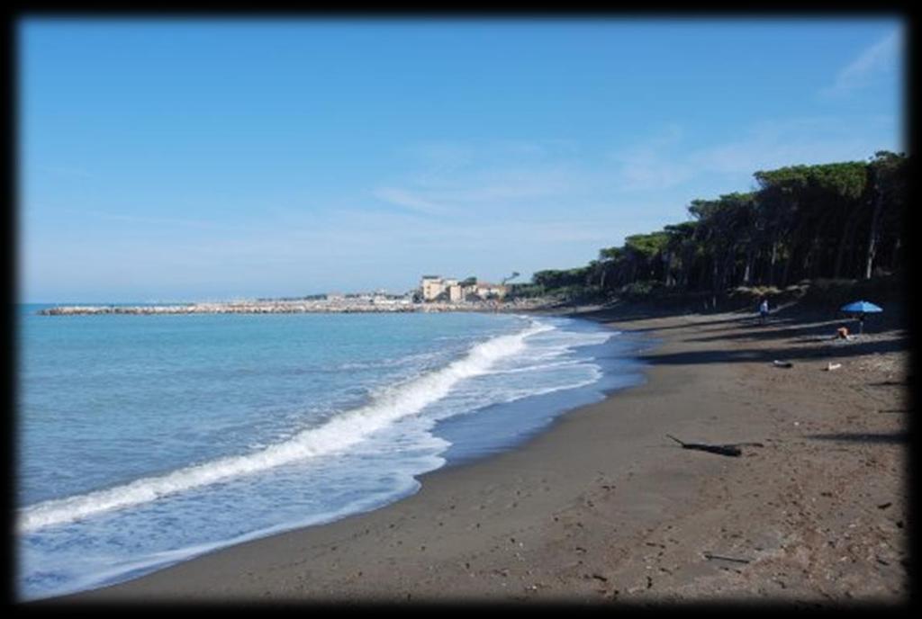 Plaża: Usytuowana niedaleko campingu, wygodny autobus (w