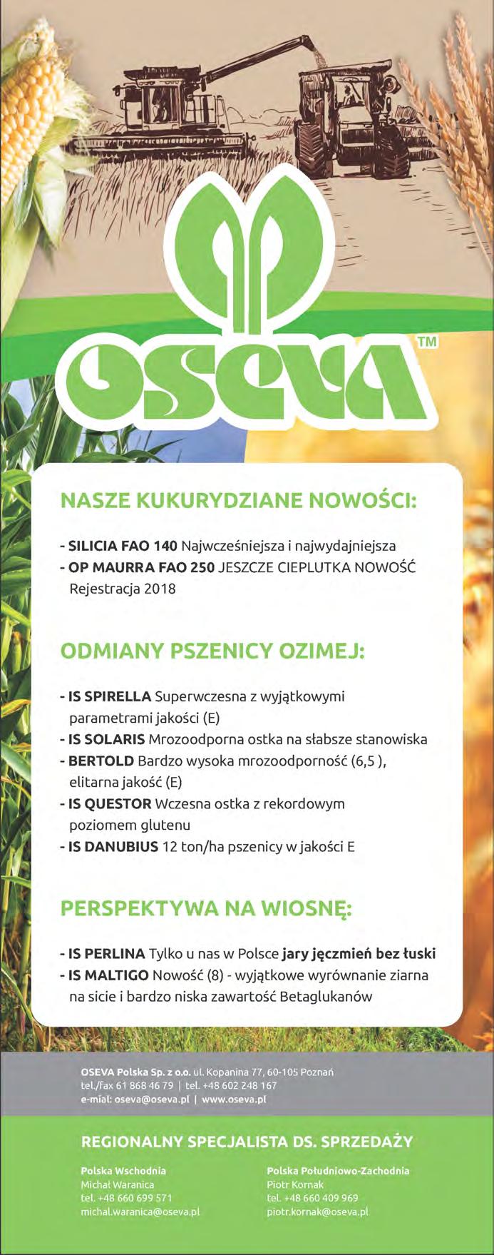 Średnia wydajność mleka FCM w grupie kontrolnej była o 1,4 kg wyższa niż w grupie SHREDLAGE. Różnica w wydajności pomiędzy grupami była mała i statystycznie nieistotna.