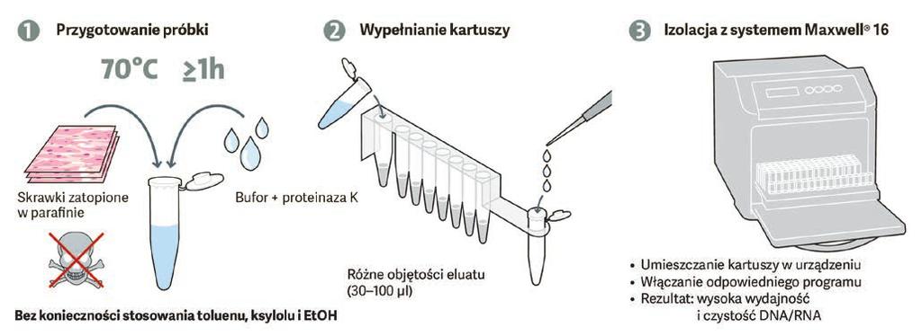 O C Z YS ZCZA NIE OCZYSZCZANIE 4 Dzięki systemowi Maxwell 16 izolacja DNA i/lub RNA ze skrawków utrwalonych w formalinie i zatopionych w parafioczyszczanie DNA 5 nie (FFPE) staje się niezwykle prosta.