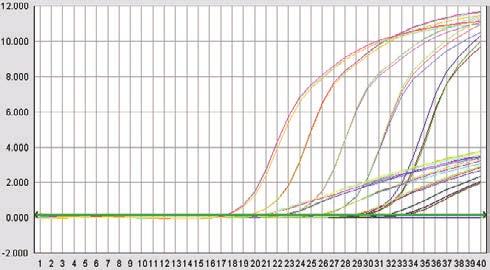 PCR W CZASIE RZECZYWISTYM Zastosowania poszczególnych technologii PCR w czasie rzeczywistym PRODUKT PCR W CZASIE RZECZYWISTYM Z UŻYCIEM BARWNIKA GoTaq qpcr Master Mix GoTaq RT-qPCR Systeme PCR W
