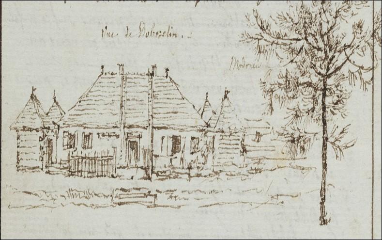 rytownik.