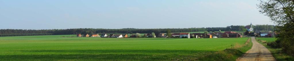WSKAŹNIK C3.
