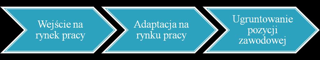Kluczowe znaczenie ma zatem obserwacja zmian w sytuacji zawodowej absolwentów w układzie: Niezbędne jest tu zapewnienie jednolitych narzędzi pomiaru.