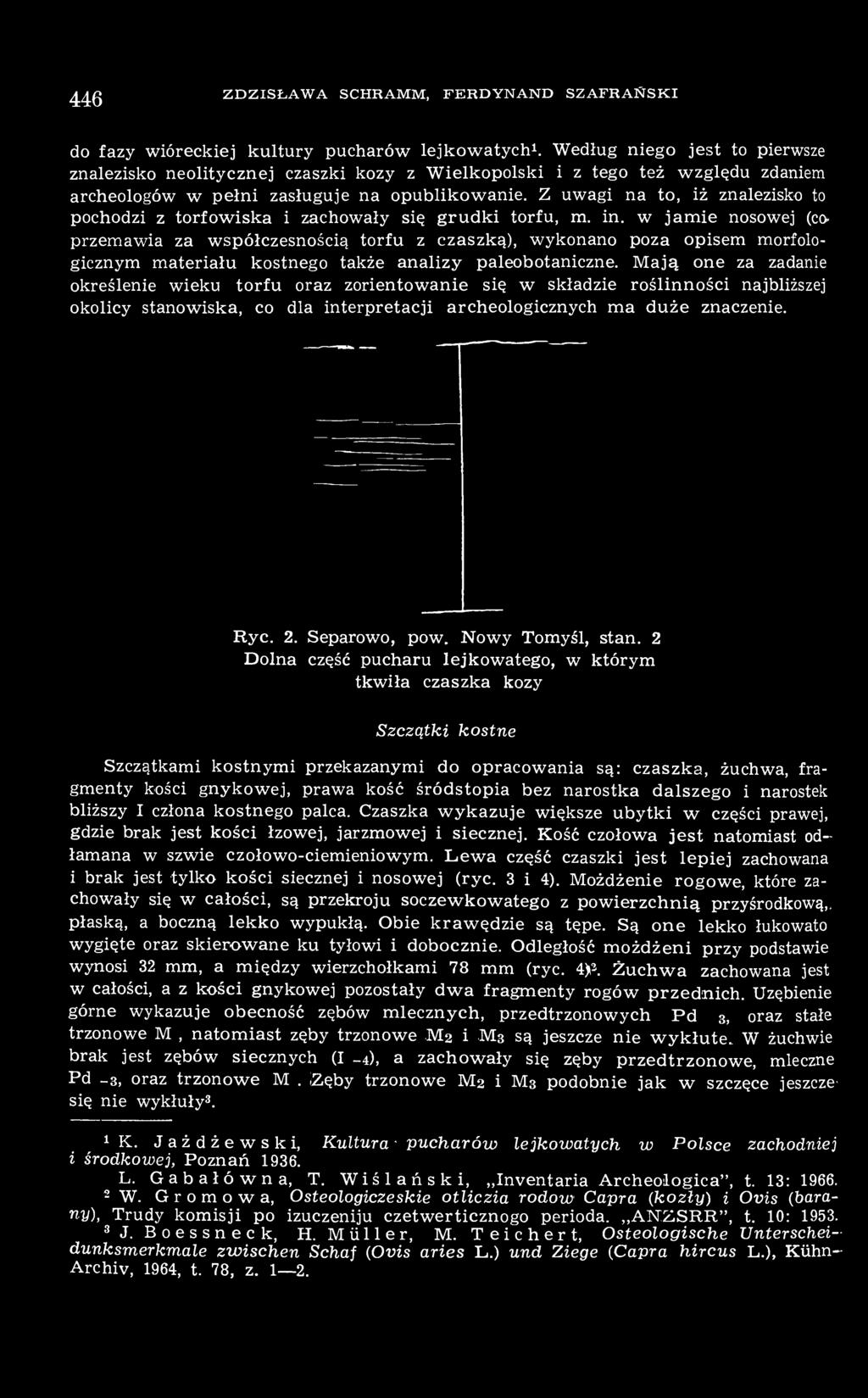Z uwagi na to, iż znalezisko to pochodzi z torfowiska i zachowały się grudki torfu, m. in.