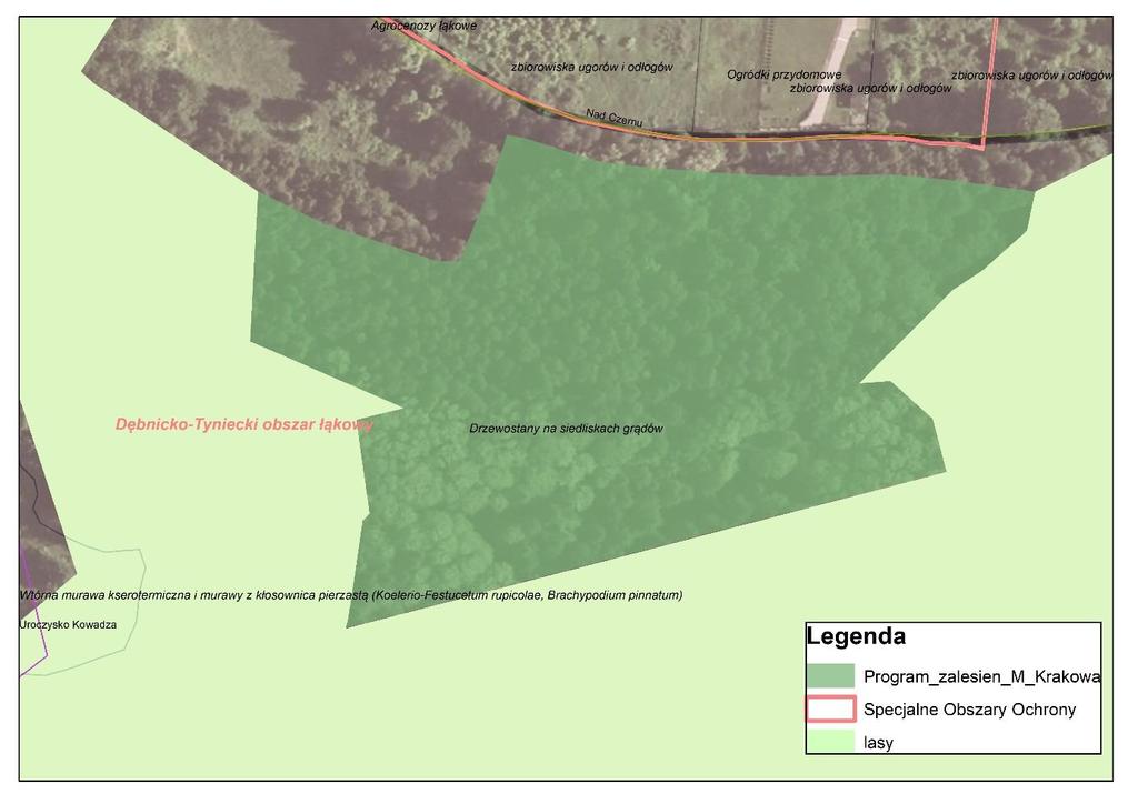 Mapa gruntów przeznaczonych do przeklasyfikowania na tle roślinności rzeczywistej Miasta Krakowa. 6.3.