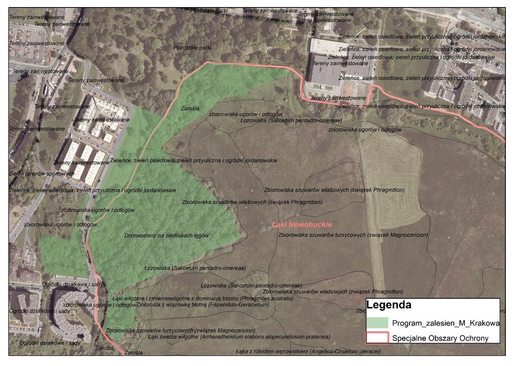 W zasięgu obszaru Natura 2000 PLH120069 ujęto w Programie zwiększania lesistości Miasta Krakowa grunty do przeklasyfikowania na użytek leśny (Ls).