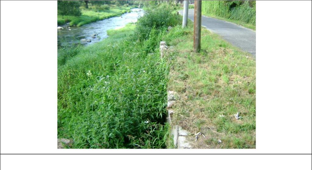 podstawie odkrywek i wizji w lokalnej oceniono grubośd muru w górnej strefie około 60-80cm. Nie wyklucza się istnienia grubszego muru na większej głębokości.