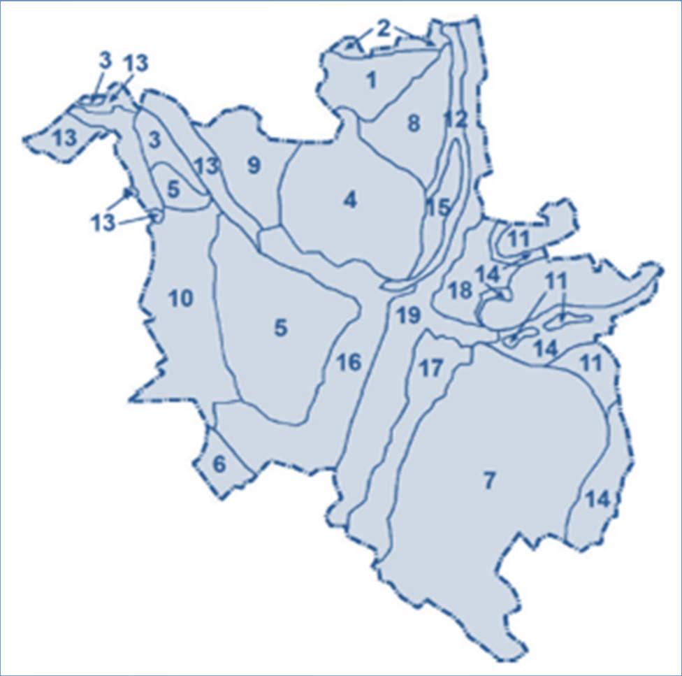 reprezentują 11 typów oraz 19 podtypów