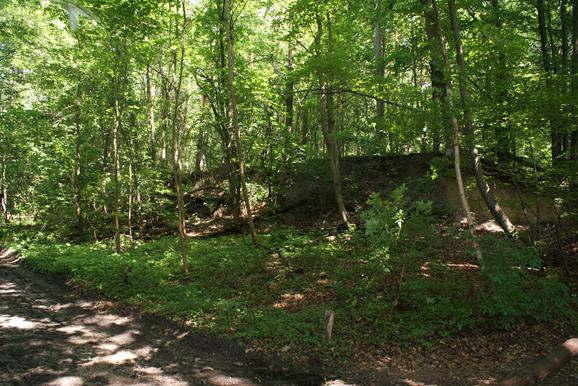 podtypów krajobrazu; 2.