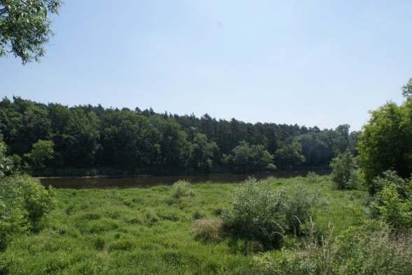 (jednostka C2), wysoczyzną morenową falistą z przewagą