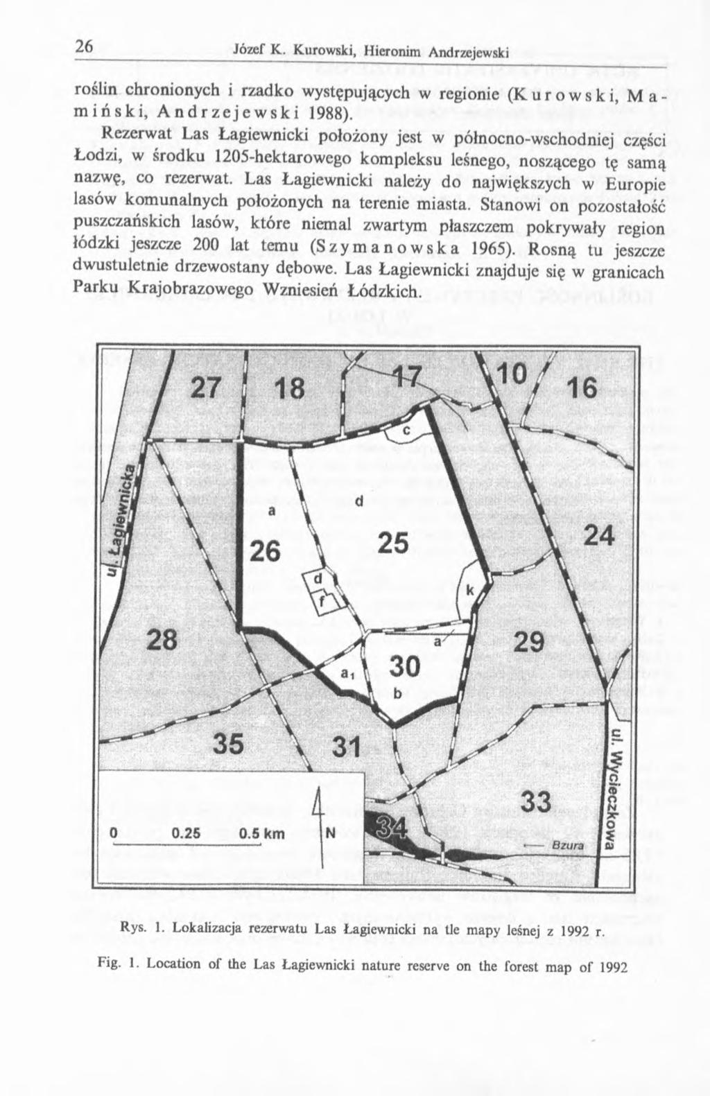 roślin chronionych i rzadko występujących w regionie (Kurowski, Mamiński, Andrzejewski 1988).