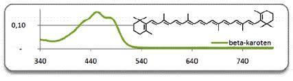 β-karoten pomarańczowy barwnik w marchewce W cząsteczkach