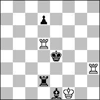 Wh1 (6 K:d3 f1h+ -+) 6...Se1+ (or 6...Sb4+ 7.Kd2/Kd1) 7.Kd1 Sf3 8.G:e5+ (8.Wf1? g3 -+) 8...S:e5 9.Ke2 g3 10.Wh3 (10.Wc1? Sg4 -+) 10...Sf3 (or 10...Sc4 11.W:g3 Sd2) 11.W:g3 Sd2 12.Wg8+ (12.K:d2?