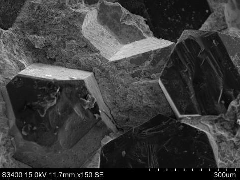 Intensive electro sintering of diamond composites... 163 ture data [17] on the contact interaction of nickel with diamond at 700 C and above with formation of the adhesive bond with strength of 300 MPa.