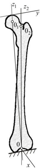 Formation of microcracks near surgical defect in femur... 95 a) b) Figure 3.