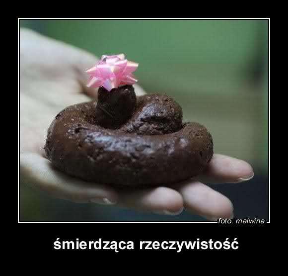 Dotyk Ocena