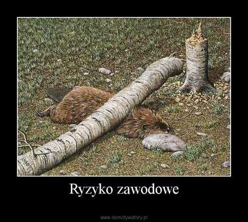 - Badania?