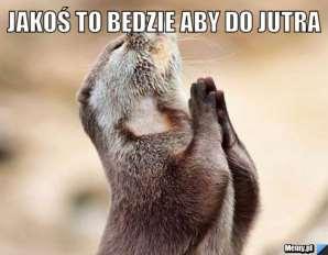 Rozporządzenie Zgodnie z zapisem ustawy nie można zmusić hodowcy do wprowadzenia programu zwalczania. Ale zanim podejmie się decyzję o rezygnacji.