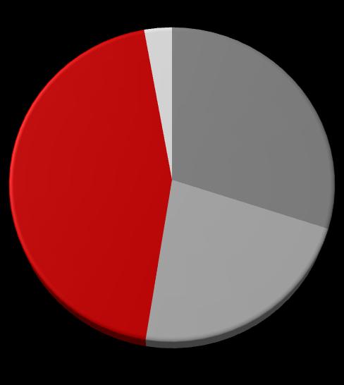 cienkie gorącowalcowane Blachy cienkie zimnowalcowane Blachy grube Blachy prefabrykaty 10% 0% 9 m-cy 2015 9 m-cy 2014 Blachy Kształtowniki