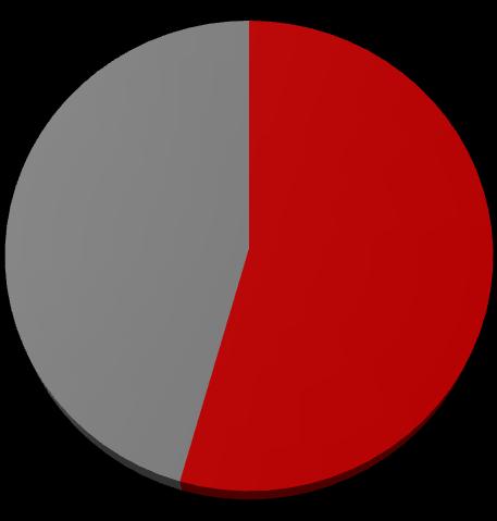 54% dostaw kilku/kilkunastu podstawowych dostawców na każdy